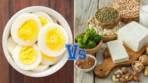 Vegetarian Protein Power: 20 Plant-Based Foods Surpassing an Egg