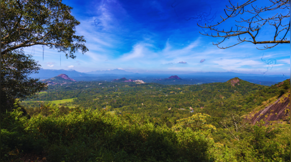 The winding roads of Lakkidi Gateway in Wayanad