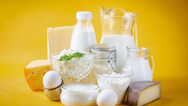 Selection of healthy dairy products
