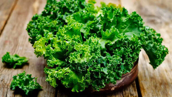 Fresh and vibrant kale leaves