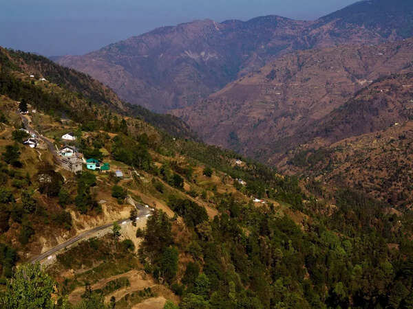 Birdwatcher's paradise in Pangot, Uttarakhand
