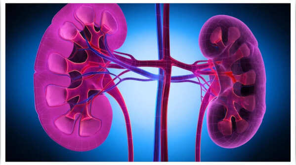 Kidney damage caused by high uric acid