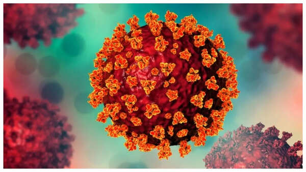 Scientist working on Dengue vaccine