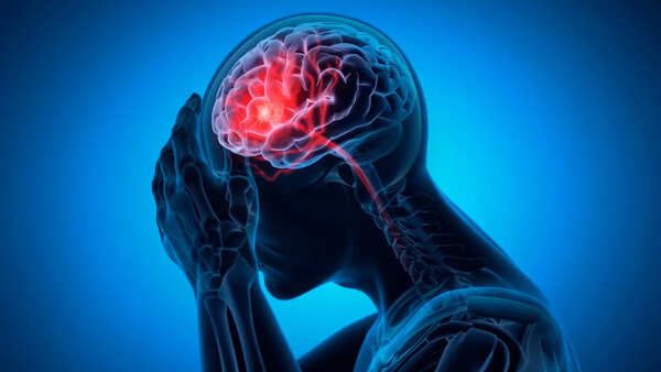 Illustration of the brain, emphasizing decision-making and emotion regions.