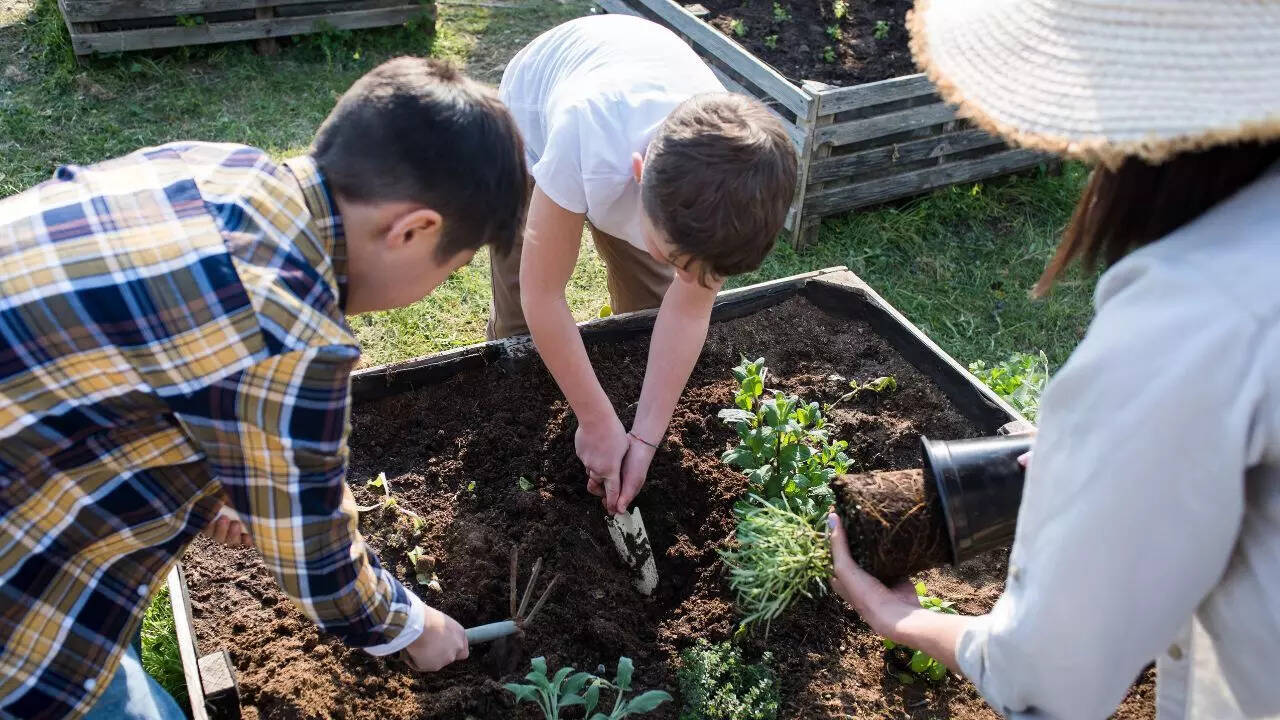 Preparing soil for planting