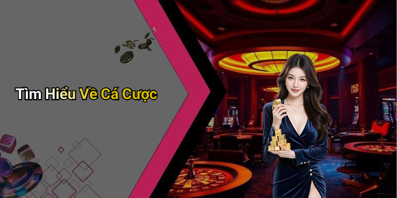 Tìm Hiểu Về Cá Cược