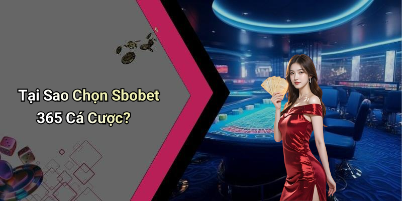 Tại Sao Chọn Sbobet 365 Cá Cược?