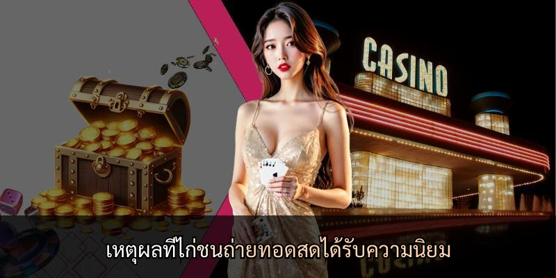 เหตุผลที่ไก่ชนถ่ายทอดสดได้รับความนิยม
