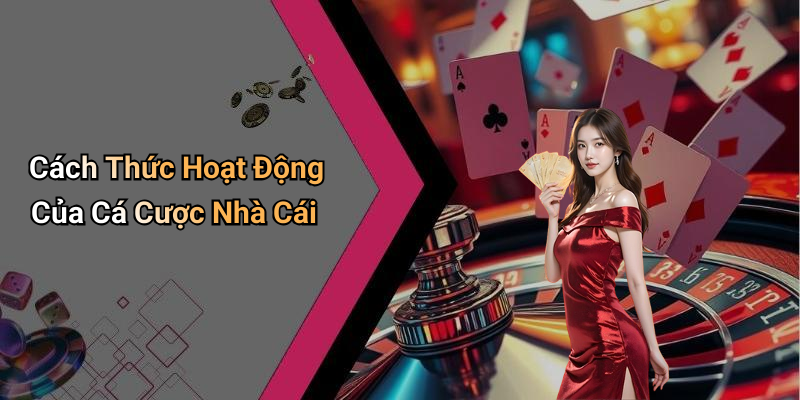 Cách Thức Hoạt Động Của Cá Cược Nhà Cái