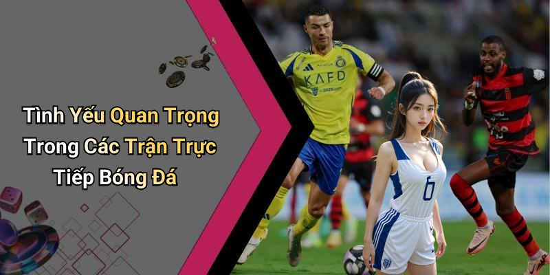 Tình Yếu Quan Trọng Trong Các Trận Trực Tiếp Bóng Đá